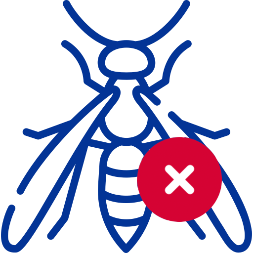 Wasps
