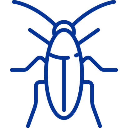 Cockroach